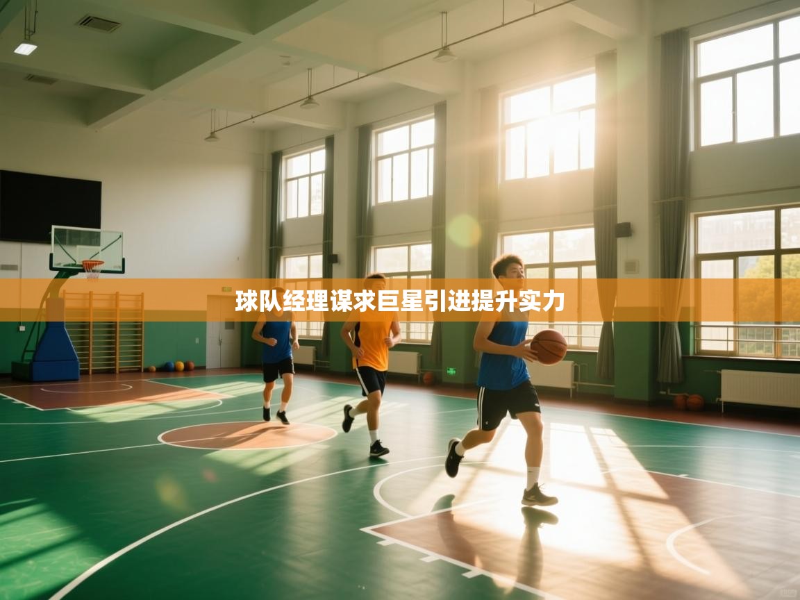 球队经理谋求巨星引进提升实力  第1张