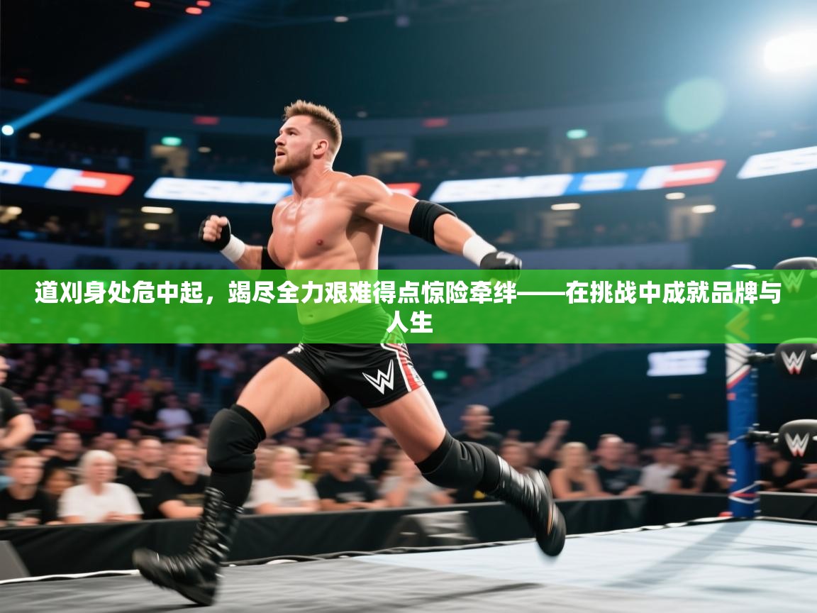 道刈身处危中起,竭尽全力艰难得点惊险牵绊——在挑战中成就品牌与人生 第2张