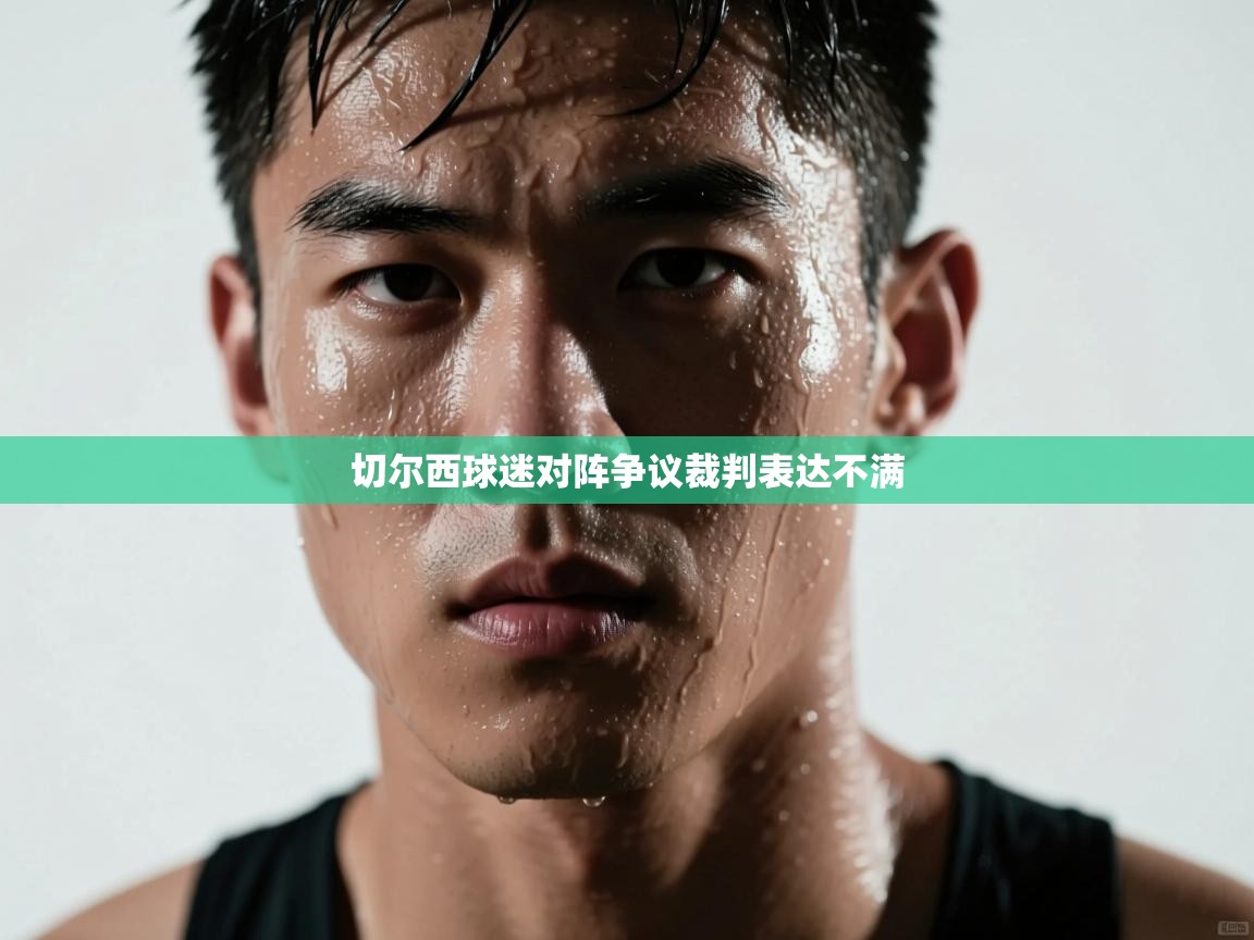 切尔西球迷对阵争议裁判表达不满